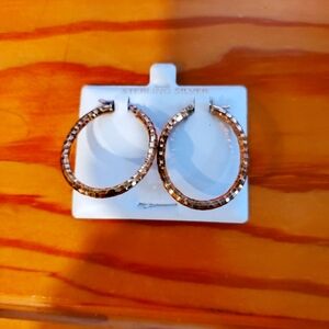 Elegant Gold Hoop Earrings